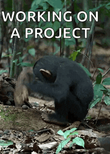 İp tv kullanan var mı? Dijital Platformlara Üyelikler çok pahalı olmadı mı artık?