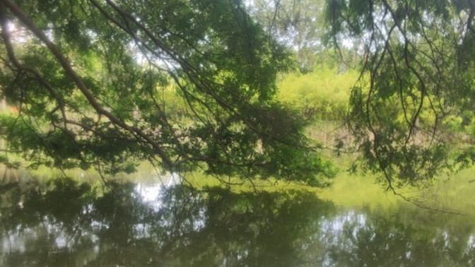 Şu ortamda ne giderdi?