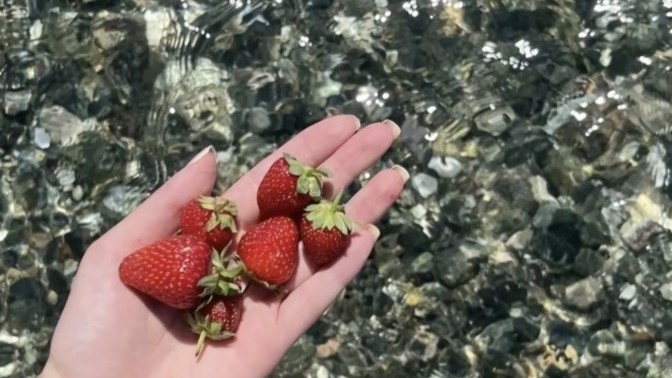 Günleriniz nasıl geçiyor KS halkı?
