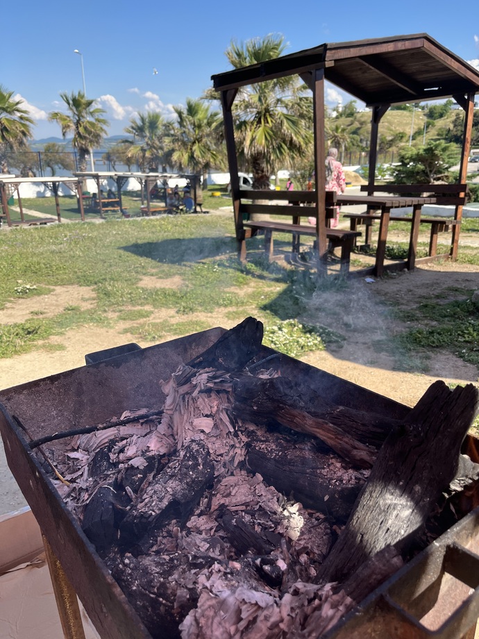Mangal yakmayı biliyor musunuz?