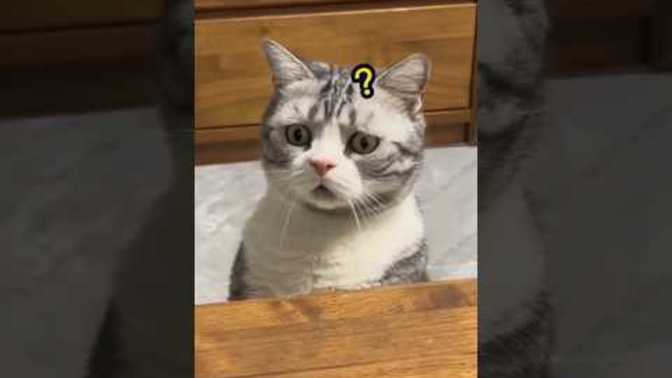 Neyden kaçıyorsun?