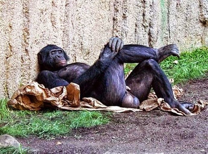 Oral seks için bikini bölgesinin temiz olması şart mıdır?