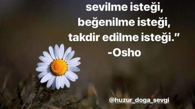 Sürekli beğenilme ve taktir edilme çabasın da olan birinin durumu psikolojik midir?