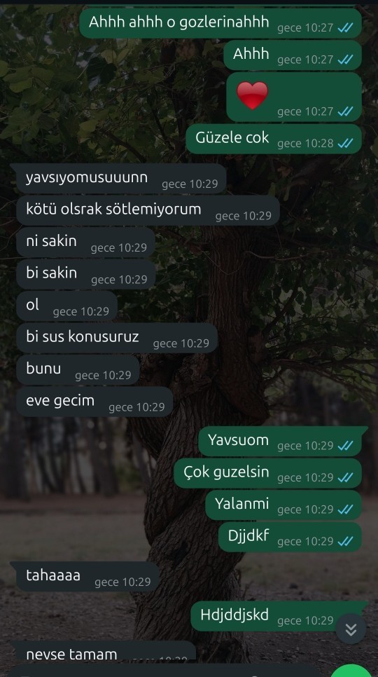 Ne demek istiyor bu kiz birisi açıklasın?