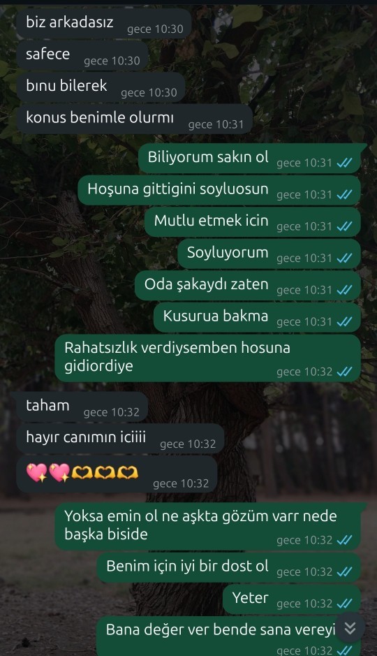 Ne demek istiyor bu kiz birisi açıklasın?