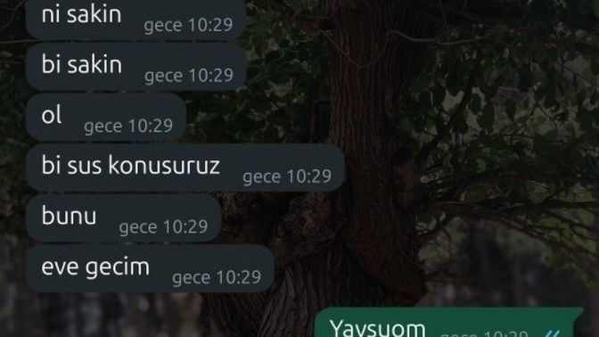 Ne demek istiyor bu kiz birisi açıklasın?