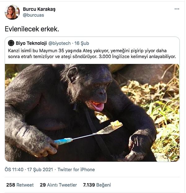 İnsanlar maymundan geldiyse günümüzde ki maymunlar neden iki dakika insan olamıyor?