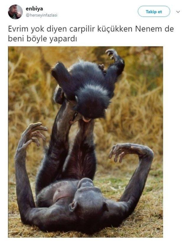 İnsanlar maymundan geldiyse günümüzde ki maymunlar neden iki dakika insan olamıyor?
