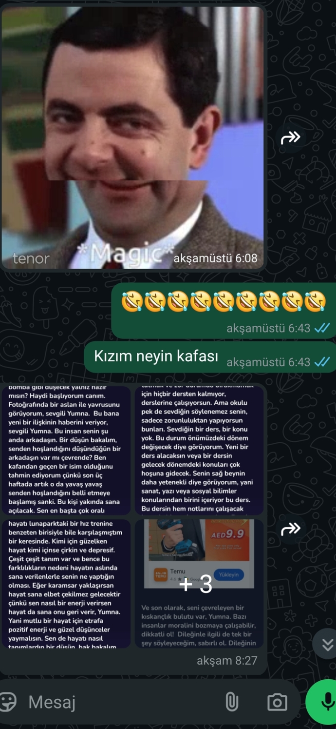 Kardeşiniz /ablanızla mesajlaşma larınız nasıl?