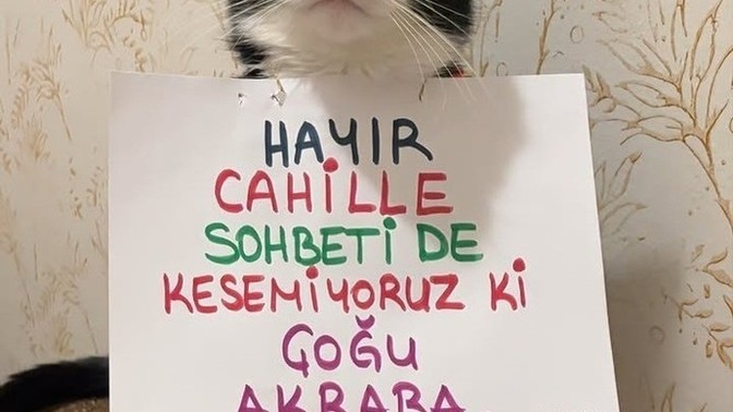 Topluma katkınız nedir?