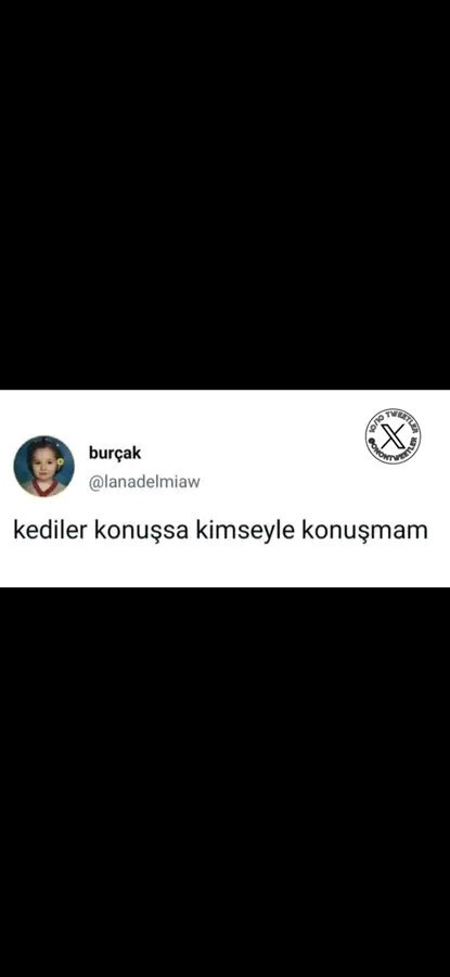 Kedilerle konuşmak ister miydin?