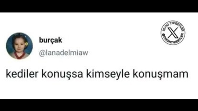 Kedilerle konuşmak ister miydin?