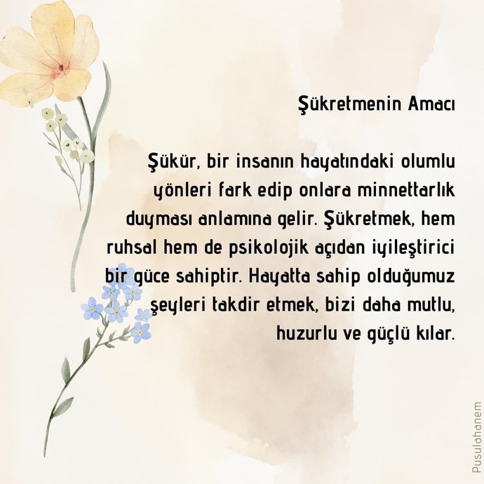 Hayatında en çok ne için şükrediyorsun?