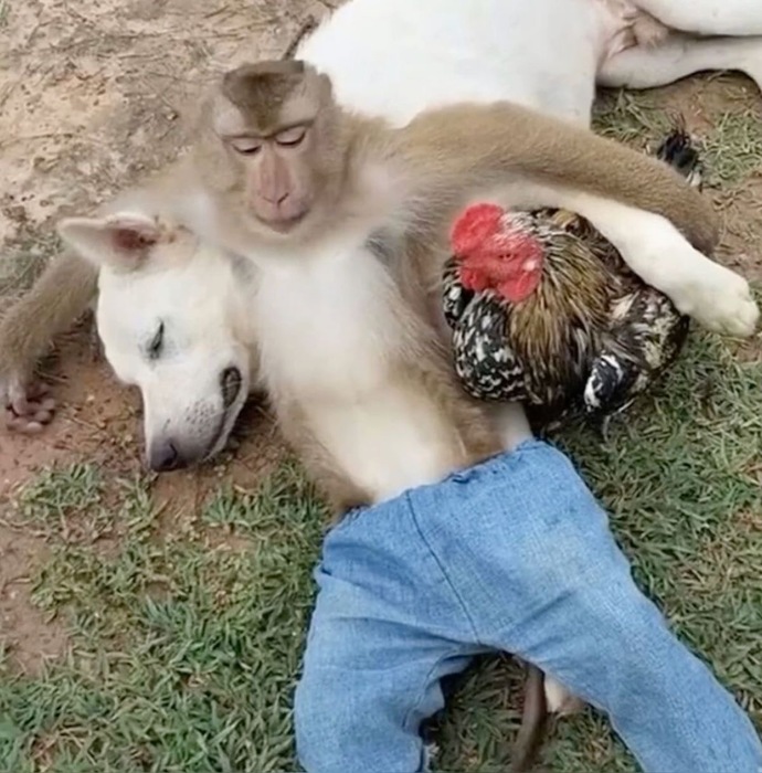 Günaydın pazar gezisi başladı mıı yoksa hâlâ evde oturanlardanmısınız?