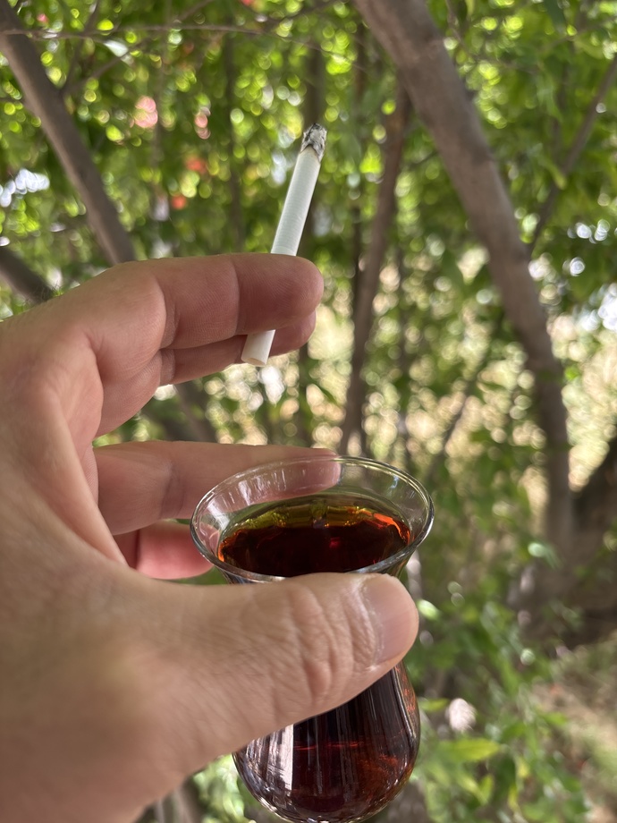 Günaydın pazar gezisi başladı mıı yoksa hâlâ evde oturanlardanmısınız?