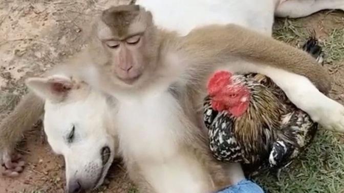 Günaydın pazar gezisi başladı mıı yoksa hâlâ evde oturanlardanmısınız?