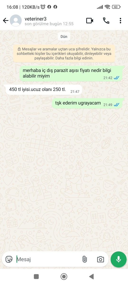 Yavru kedi aşısı?