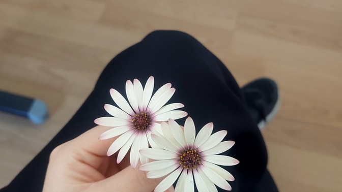 En son ne zaman çiçek aldınız?