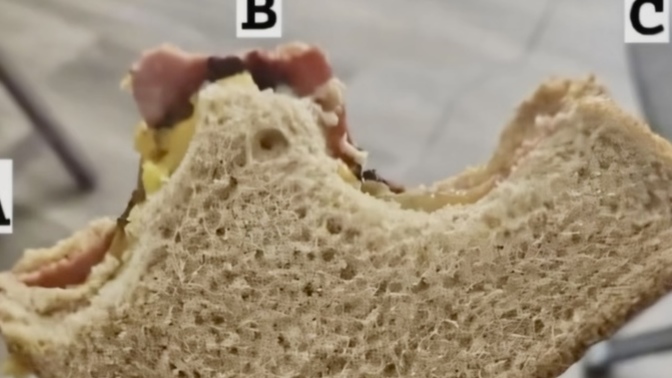 Eğer tostun bu aşamada olsa hangi kısmı ısırırsın a, b, c?