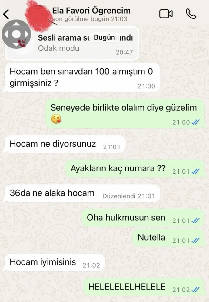 Öğretmenin böyle mesaj atması ne yapacağım :(?