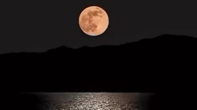 Kafanı dağıtmak için naparsınız?