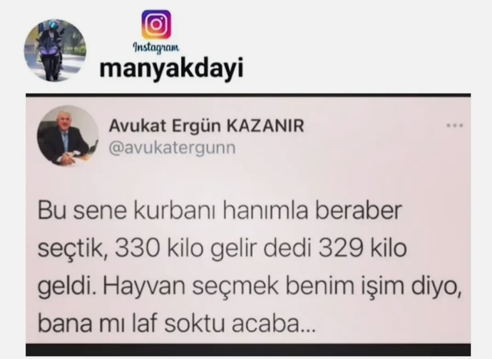 Kurbanlıktan en iyi kim anlar?