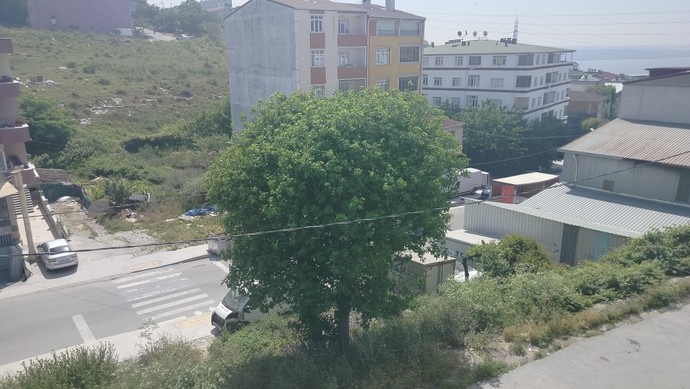 Sabah güneşi alırken balkonda çay içip fındık yerken, incir ağacında kuşlar öterken hangi şarkı dinlenir?