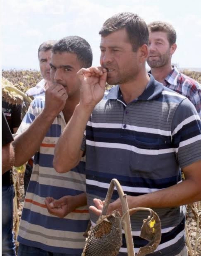 Çekirdekleri tektek çıtlayıp bana verecek sevgiliyi nereden bulabilirim?