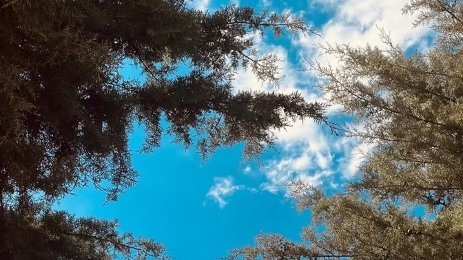 Mutluluk denilince aklınıza gelen ilk şey ne?