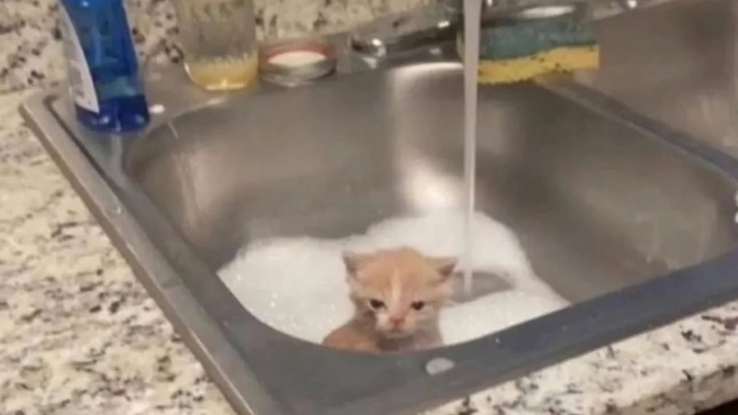Yazın gelmesiyle birlikte tercihiniz deniz mi havuz mu?