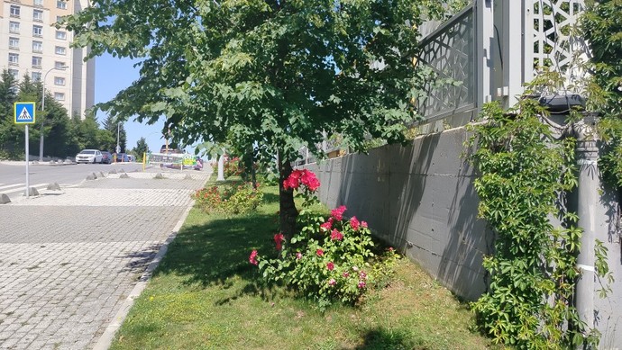Pekii şimdi yanınızda olsaydım sizinle beraber ne yapmış olurdum?