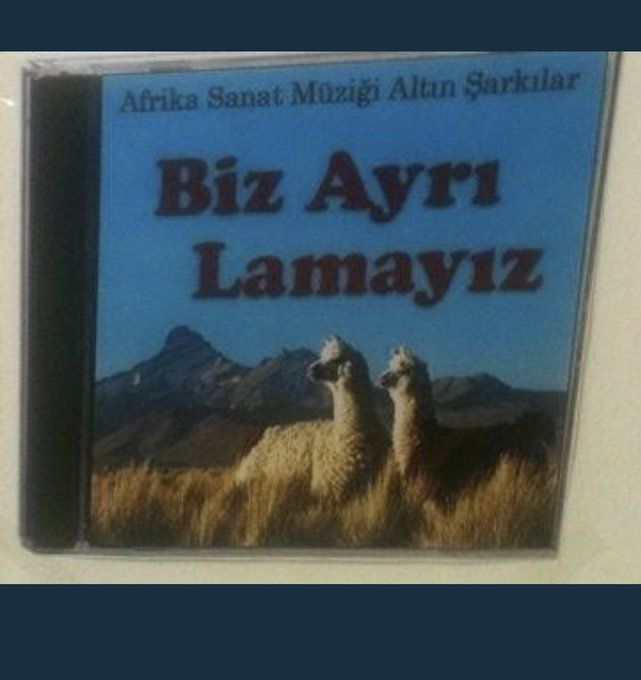 Nasıl yahu 5. kez ilginç ara vermiş olmayın. Genelde olmaz derler, Allah mesut etsin.🌸