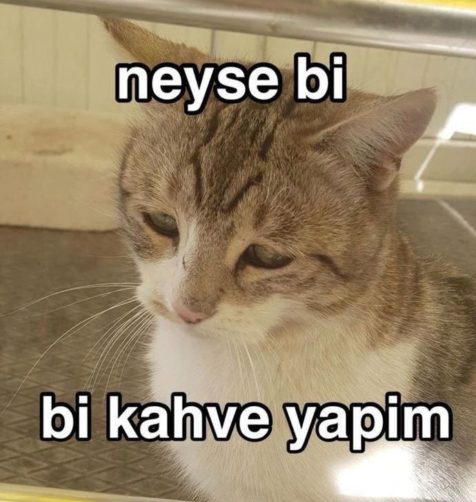 Bu günü çok renksiziniz efendim ama ölümü hatırlamak da güzeldi. 🖤