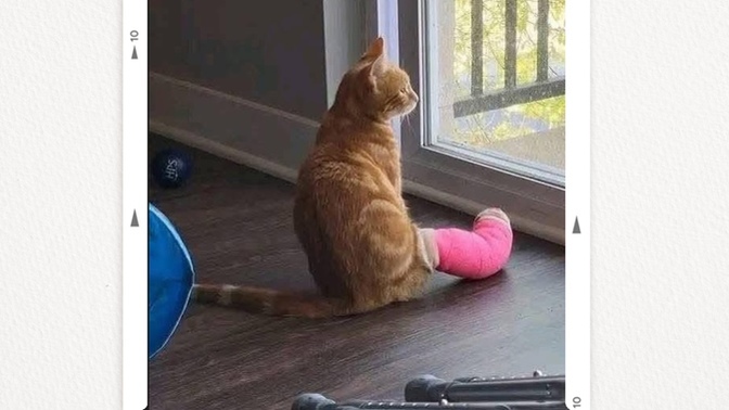 Hiç kaza 💥 yaptınız 🤕 mı?