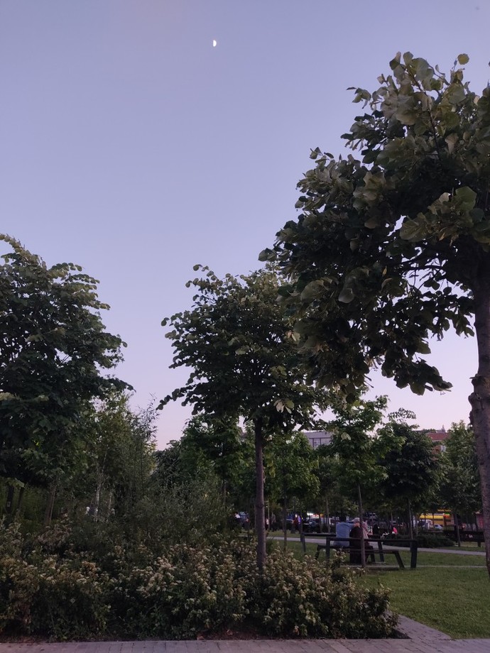 Akşam üzeri parkta oturmak keyifli mi? Yoksa evde TV izlemek daha mı mantıklı?