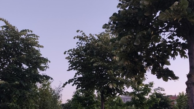 Akşam üzeri parkta oturmak keyifli mi? Yoksa evde TV izlemek daha mı mantıklı?