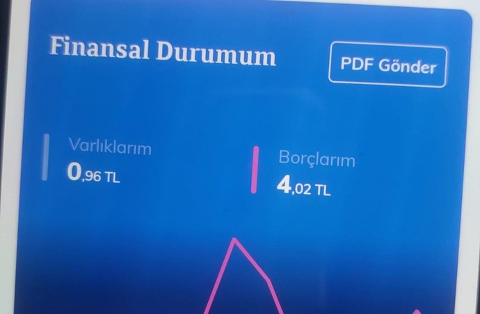 Cumartesi pazar araç kiraladım kredi kartımdan teminat çektiler 3500tl bugün iade oldu o para ama borcum düşmemiş karttan detay?