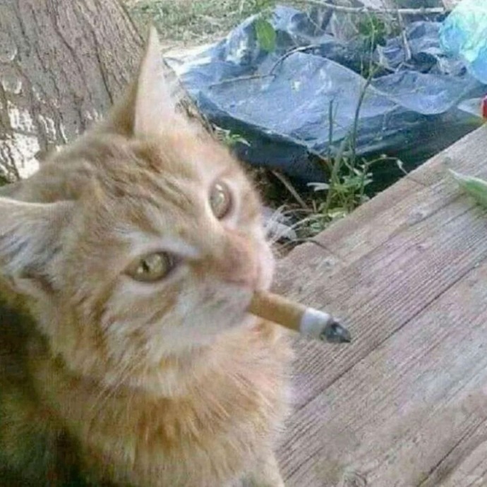Hangi marka sigara içiyorsunuz KS dostları?