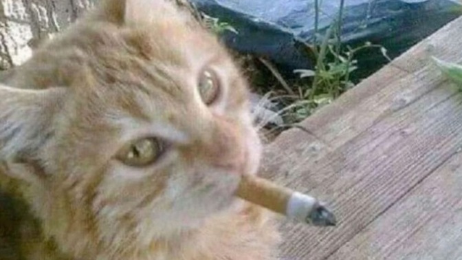 Hangi marka sigara içiyorsunuz KS dostları?