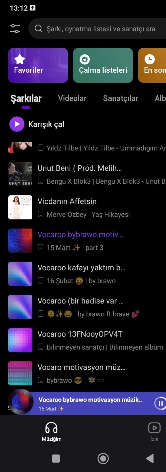 Müzik listeniz böyle güzel mi?