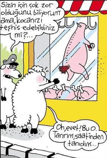 Kurbanlık koç bulamadım seni keselim mi desem benim manitaya ne der acaba?
