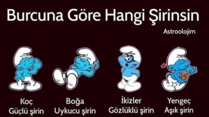 Burcuna göre hangi şirin karakterisin?