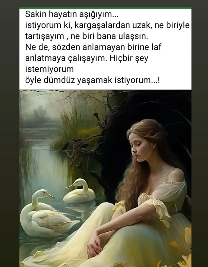 Sakin hayatına mı aşıksınız şaşaalı hayata mı?