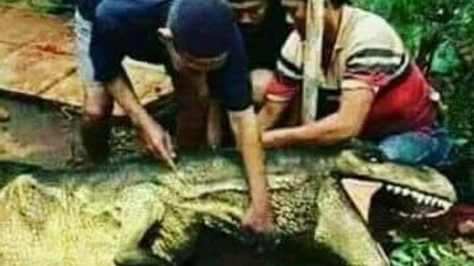 Kurban Bayramı'nda T-REX kessek kabul olur mu 🤣?
