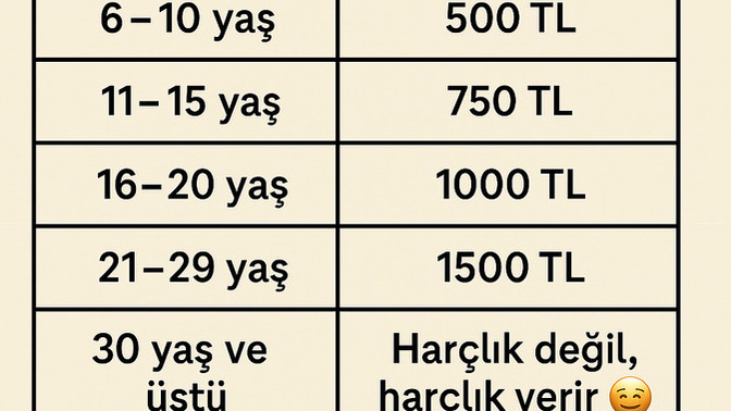 Sizce bu tarife eli açık mı, yoksa cimrice mi olmuş?