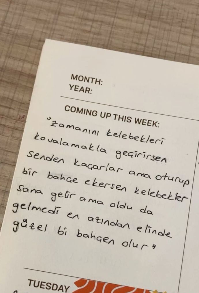 Size kitaplardan bir alıntı paylaşayım mı?