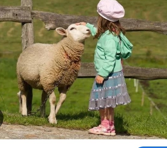 Nerde o eski bayramlar dediğiniz oluyor mu?