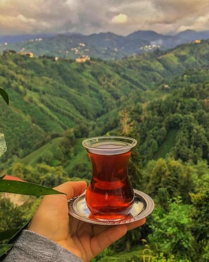 Senin için sabah çayı mı daha keyifli, yoksa akşam çayı mı?