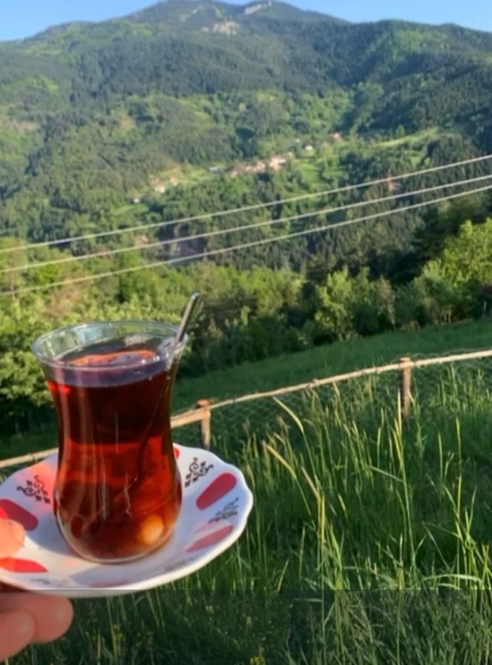 Senin için sabah çayı mı daha keyifli, yoksa akşam çayı mı?