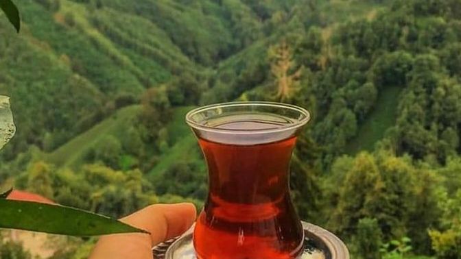 Senin için sabah çayı mı daha keyifli, yoksa akşam çayı mı?